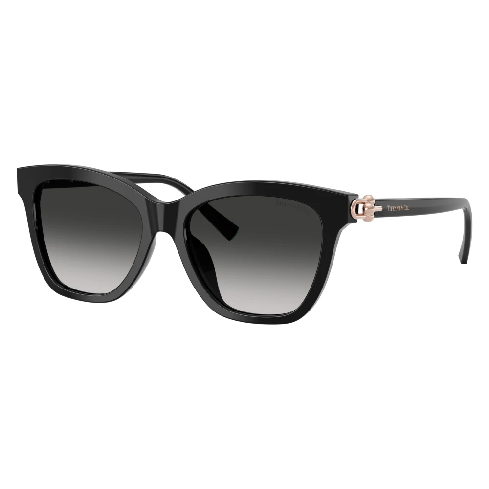 Tiffany & Co. Unisex Black 0Tf4241d - Sunglasses - 54 Mm - Accessories