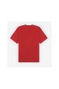 fox-t-shirt