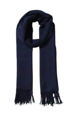 classic-scarf-with-fringes-and-eagle-print