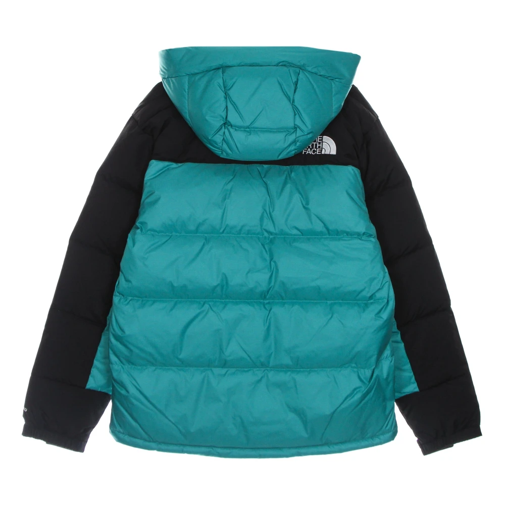 The North Face Groene Dons Parka Jas Green Heren