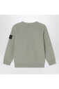 crewneck-sweatshirt