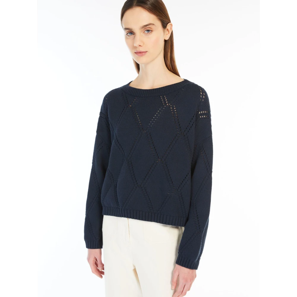 Max Mara Weekend Blauwe Oversized Katoenen Trui met Ruitpatroon Blue Dames