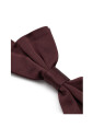 cravates-en-soie-andamp-papillon