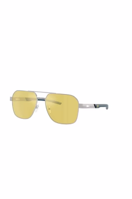 fz5003-sunglasses