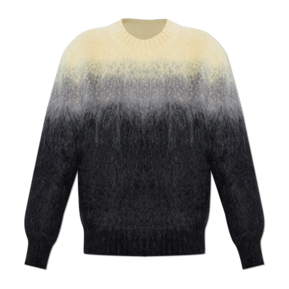 Jil Sander Multicolor The Mohair Sweater