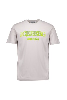 light-grey-t-shirt