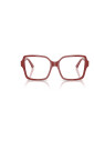 elegantes-gafas