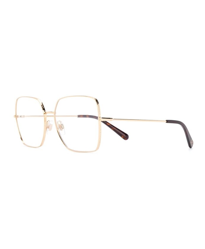 dg1323-02-optical-frame
