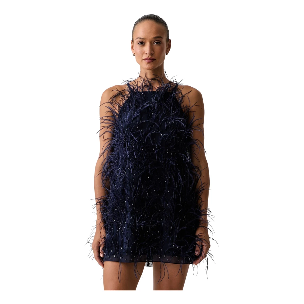 Pinko , Damen, Kleider, Blau, L