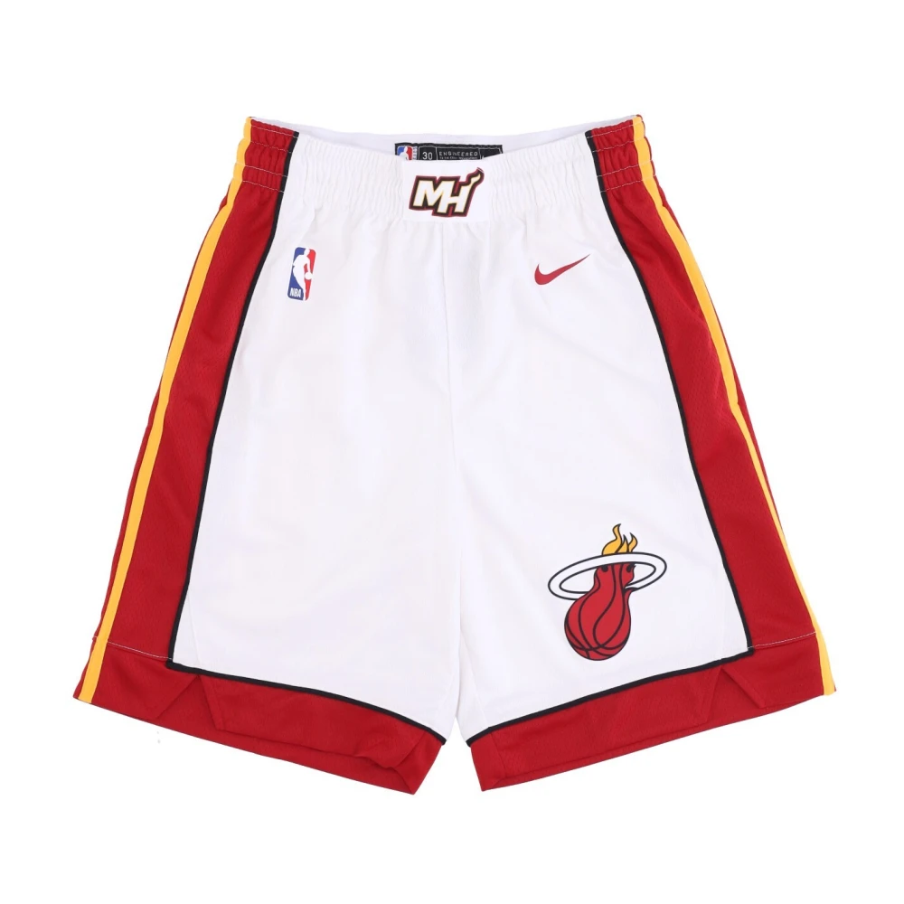 Nike NBA Swingman Basketball Shorts Multicolor Heren