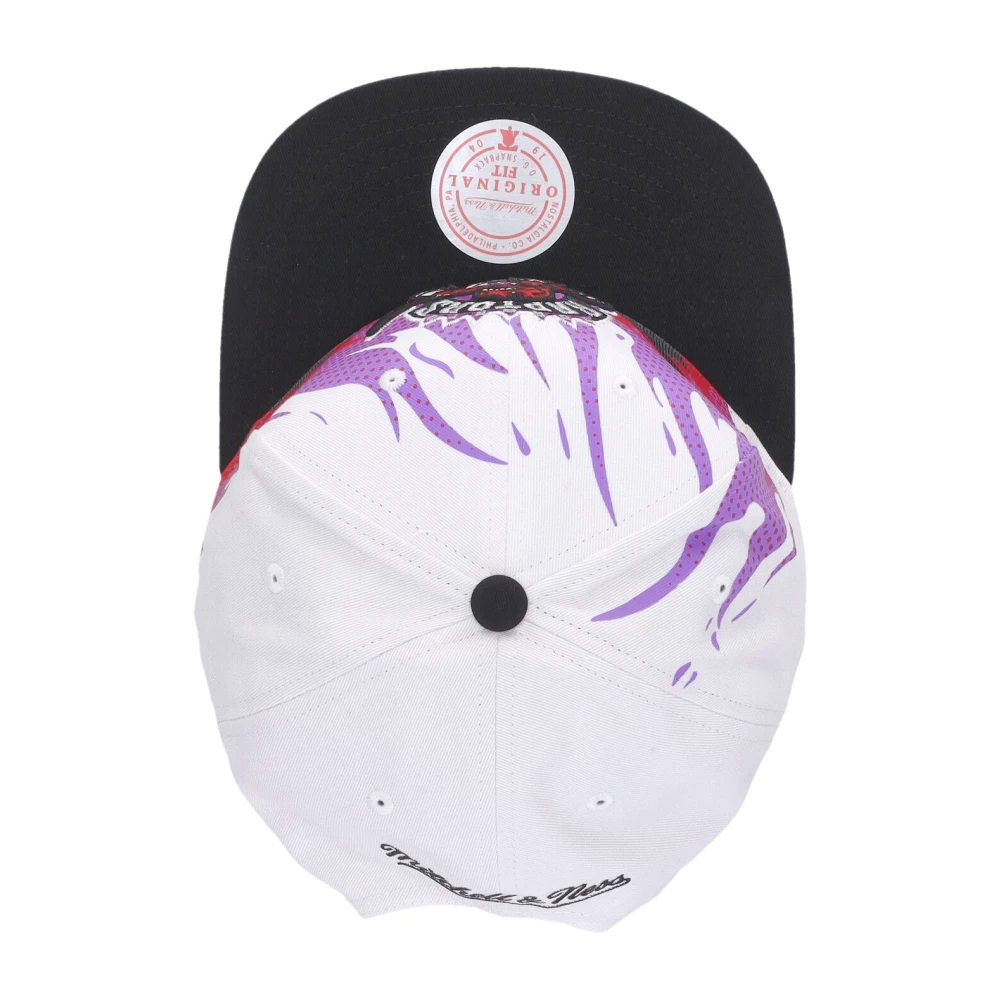 Mitchell & Ness Toronto Raptors Platte Klep Pet Multicolor Heren