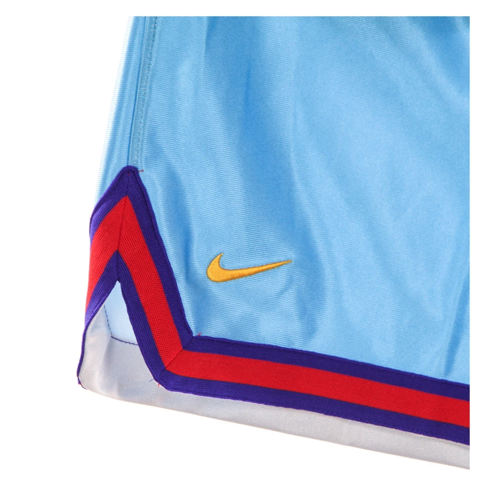 Nike Basketbalshorts Tune Squad Lebron Multicolor Heren