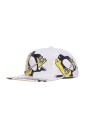pittsburgh-penguins-platklep-pet