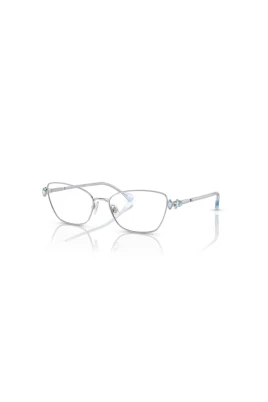 SK1006 Frame