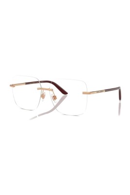 dg1360-1298-optical-frame