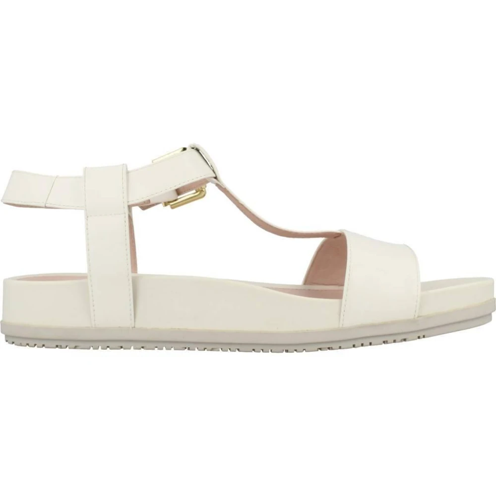 Stonefly Vit Borsta Av Sandaler