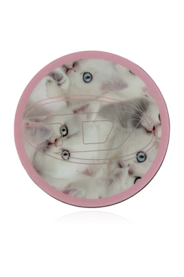 Oval D Cats MagSafe Gripstand