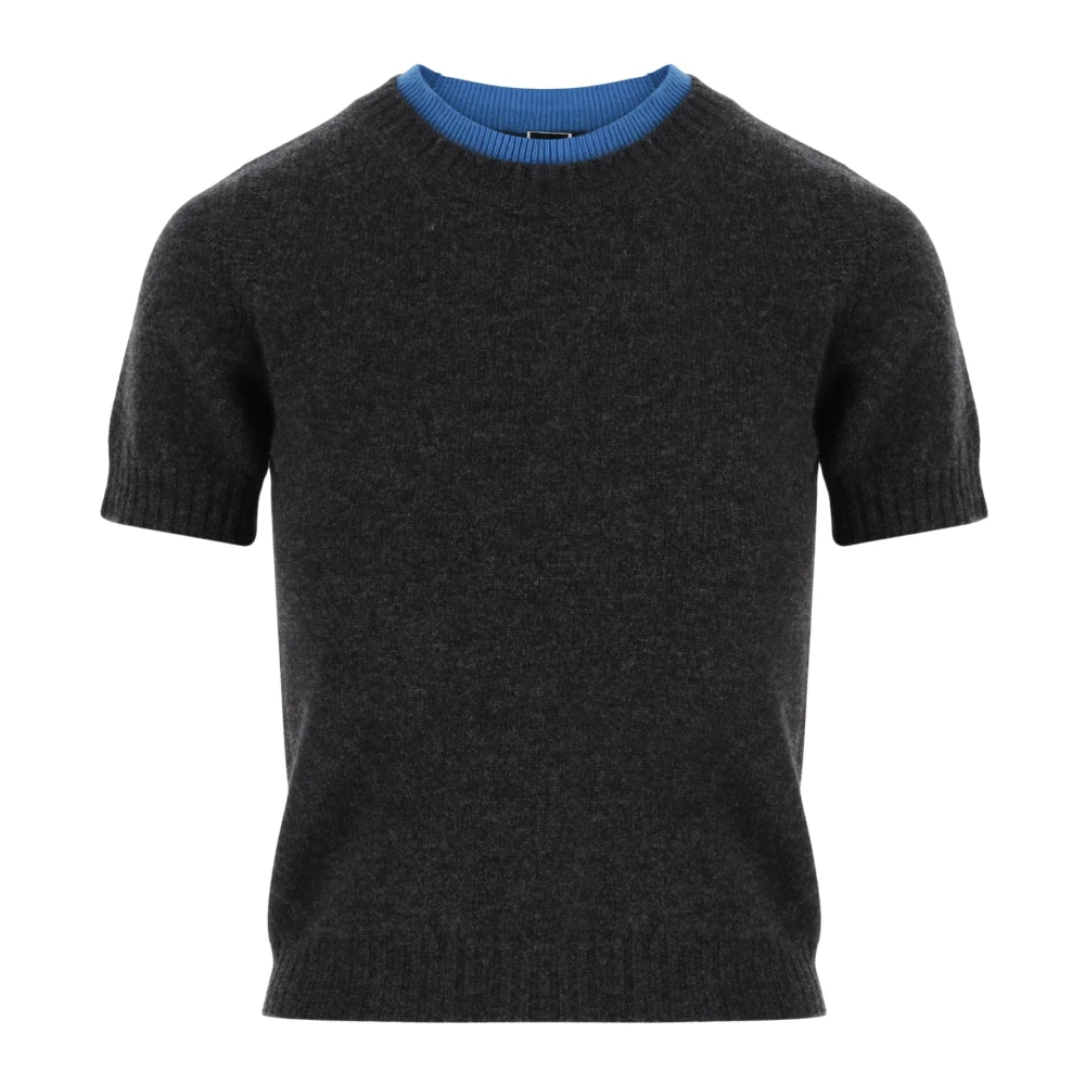 Pinko Wol Cashmere Crew Neck T-shirt Gray Dames