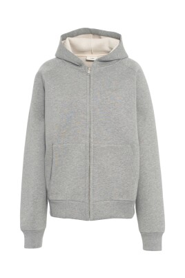 sweat-a-capuche-gris-aw25