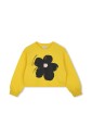 pull-jaune