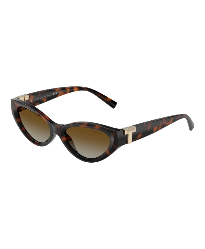 lunettes-de-soleil-avec-modele-tf4225u