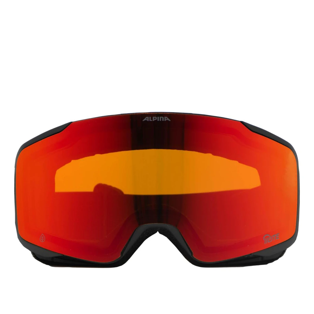 Alpina Zwart Mat Lichtgewicht Skibril Black Unisex