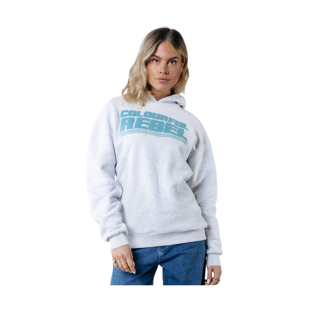 Colourful Rebel Grote Puff Logo Clean Hoodie Gray Dames