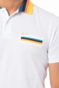 polo-multicolore