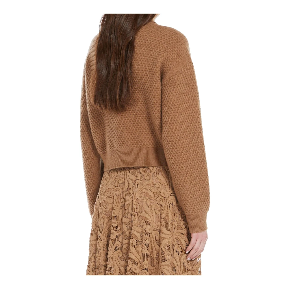Max Mara Studio Kasjmier Coltrui Trui Vrouwen Zwart Brown Dames