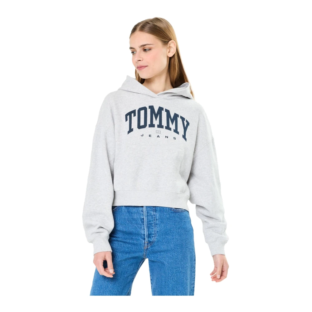 TOMMY JEANS Dames Truien & Vesten Tjw Vtg Varsity 1 Hoodie Lichtgrijs