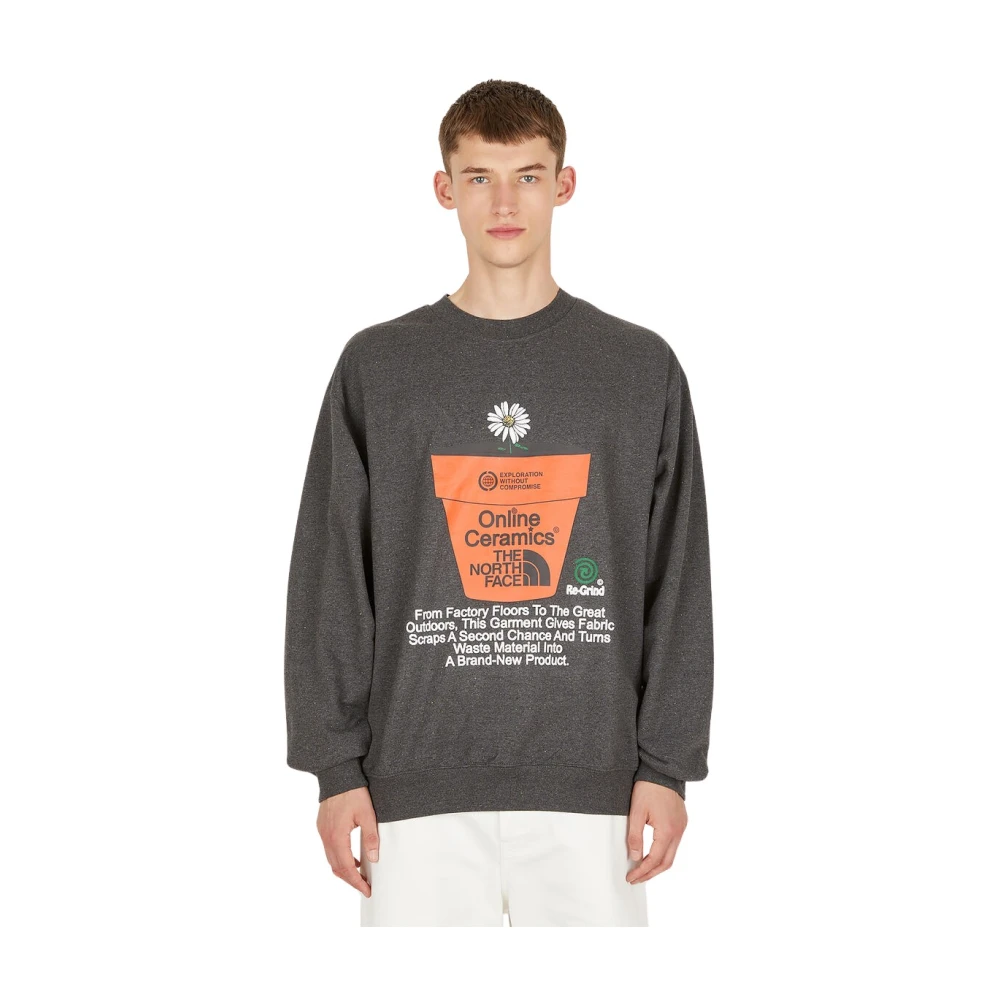 The North Face Sweatshirts & Hoodies Gray Heren
