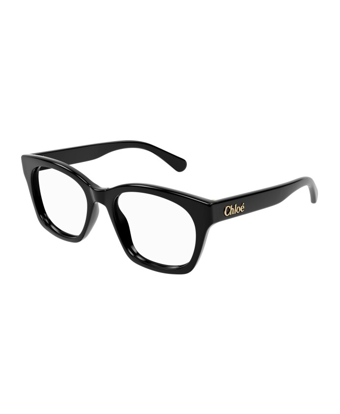 ch0244o-005-optical-frame