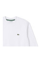 pulls-blancs-pour-hommes