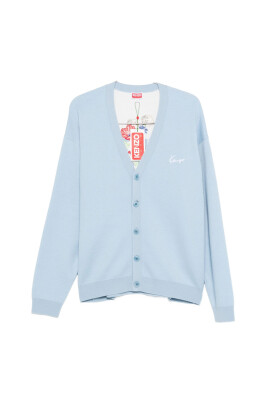 light-blue-v-neck-embroidered-sweater