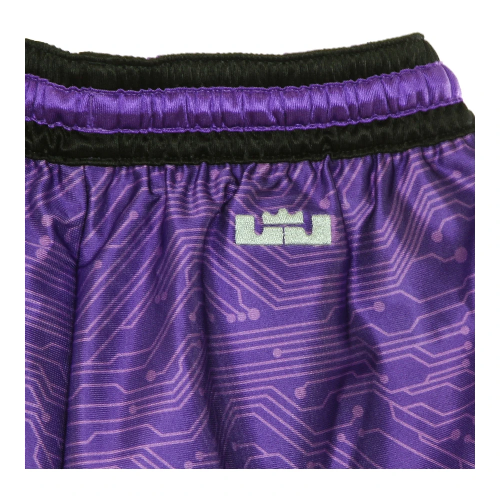 Nike Basketbalshorts Legacy Goon Squad Lebron Purple Heren