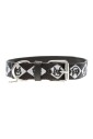 collier-elegant-pour-chien