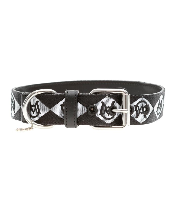 collier-elegant-pour-chien