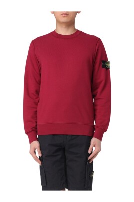 vit-crewneck-sweatshirt-med-langa-armar