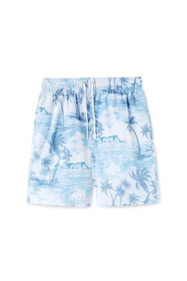 sea-graphic-swim-shorts