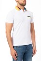 polo-multicolore