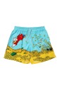 scrooge-dive-swimshorts