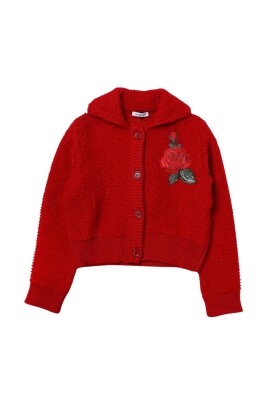 cardigan-en-laine-avec-broderies-de-roses