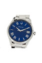 wilton-blue-steel-watch