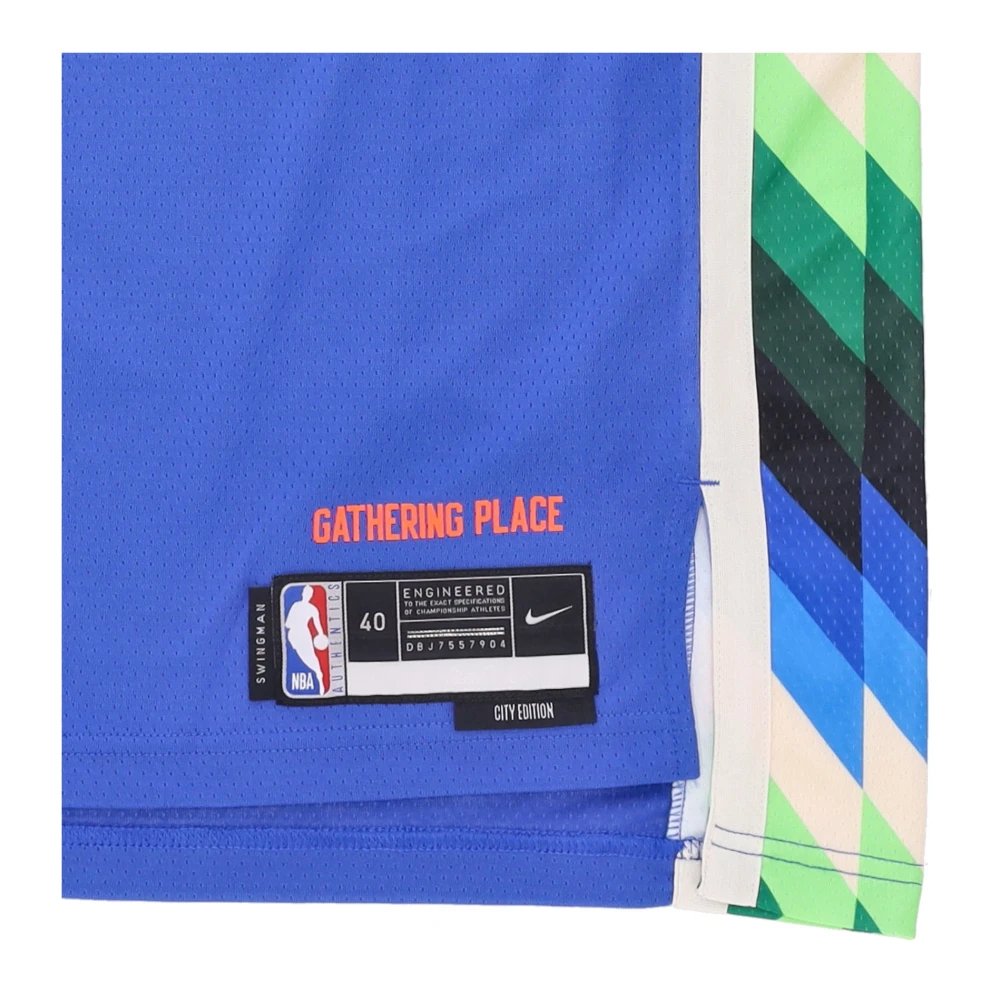 Nike Giannis Antetokounmpo NBA City Edition Jersey Multicolor Heren