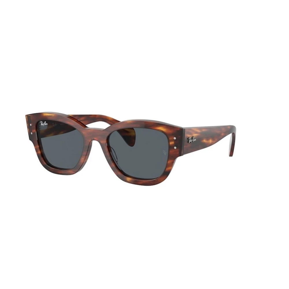 Ray-Ban Unisex Brown Jorge Sunglasses