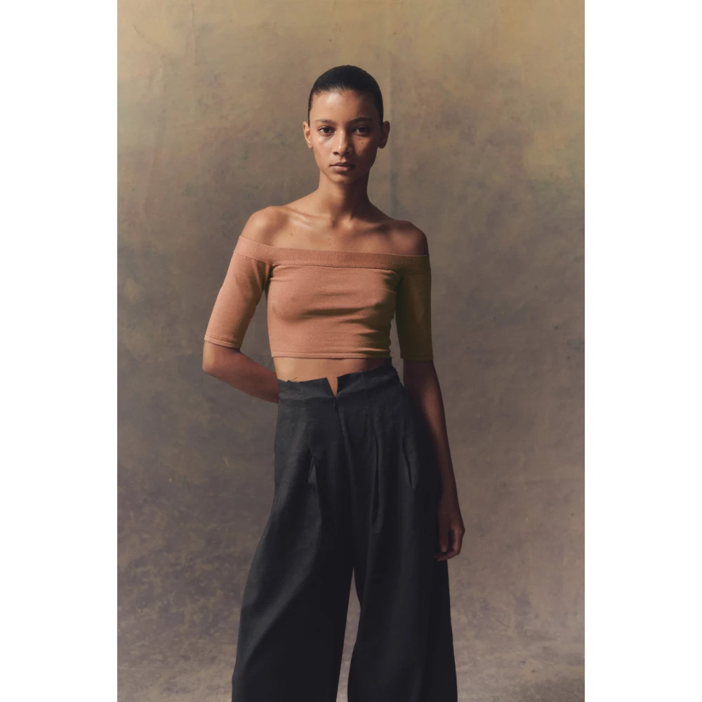 Cortana Zijde Stretch Off-Shoulder Crop Top Brown Dames