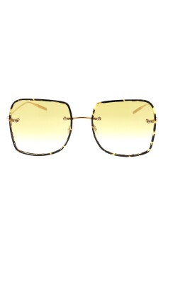 stylish-eyewear-collection