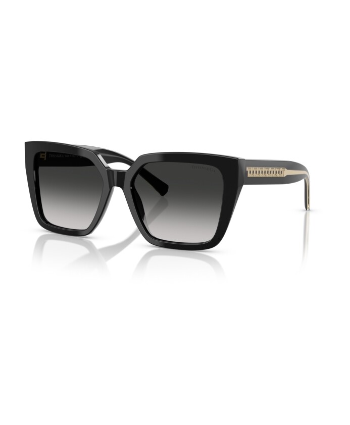 tf4235-80013c-sunglasses