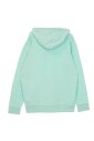 lightweight-hooded-sweatshirt