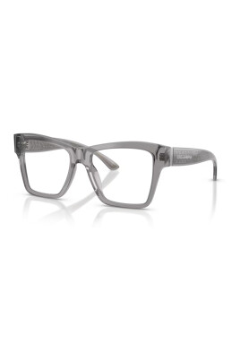 transparent-grey-eyewear-frames-dg-3411